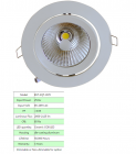 LED DownLighters