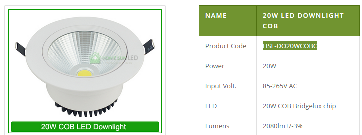 LED DownLighters