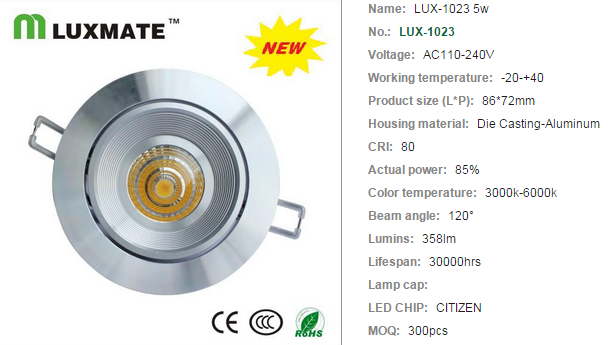 LED DownLighters