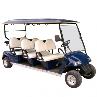 Electric Golf Cart