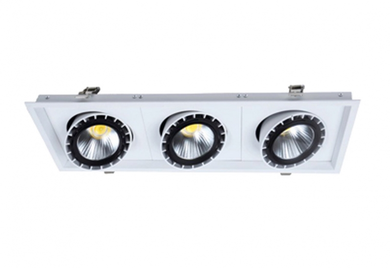 LED DownLighters