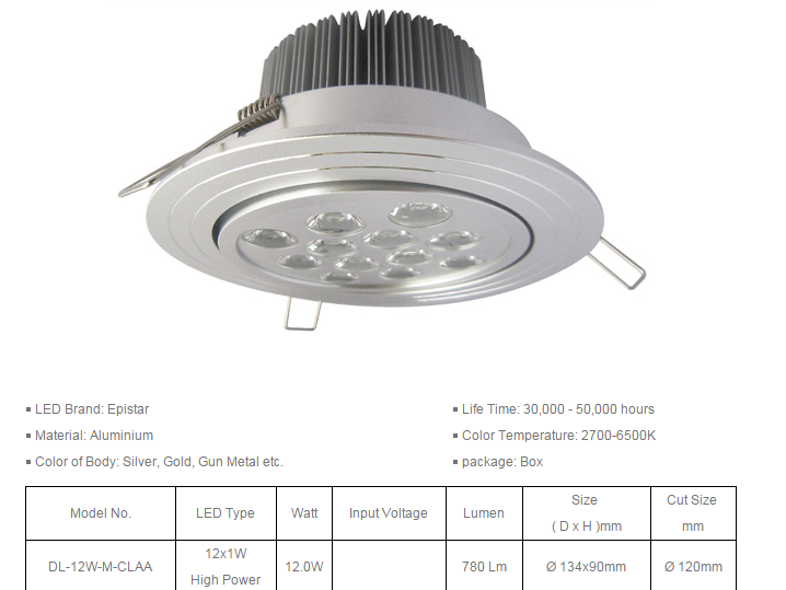 LED DownLighters