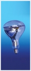 mercury bulb