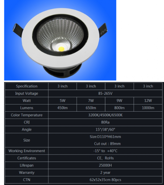 LED DownLighters