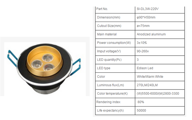 LED DownLighters