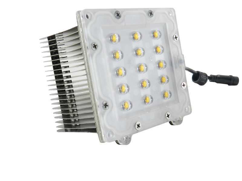 LED Module