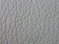 Synthetic Leather