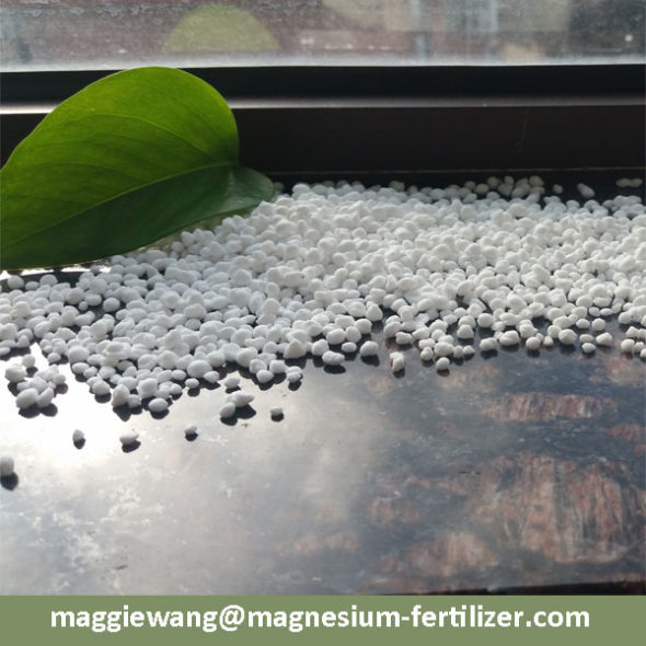 Nitrogen Fertilizer