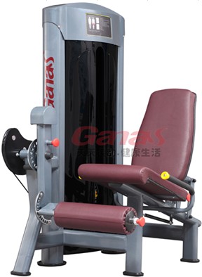 Leg Extension Machine