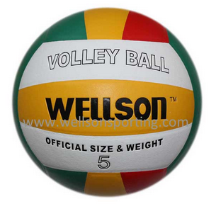 Volleyball