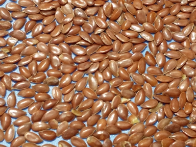 Flax seed