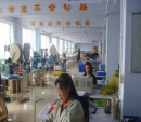 Yantai Shanyou Electric Co., Ltd.