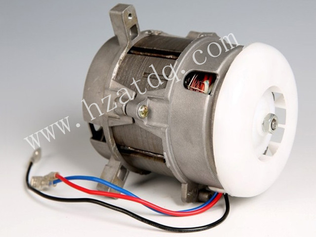 AC Asynchronous Motor