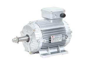 AC Asynchronous Motor