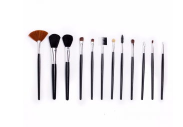 Makeup Brushes