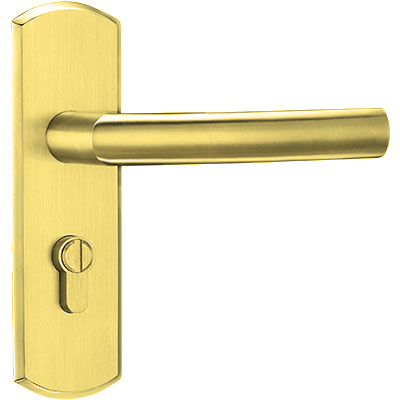 Bathroom Lock (B-313)