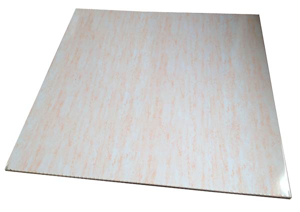 Ceiling Tile(C-02)