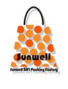 Dongguan Sunwell Gift Packing Factory