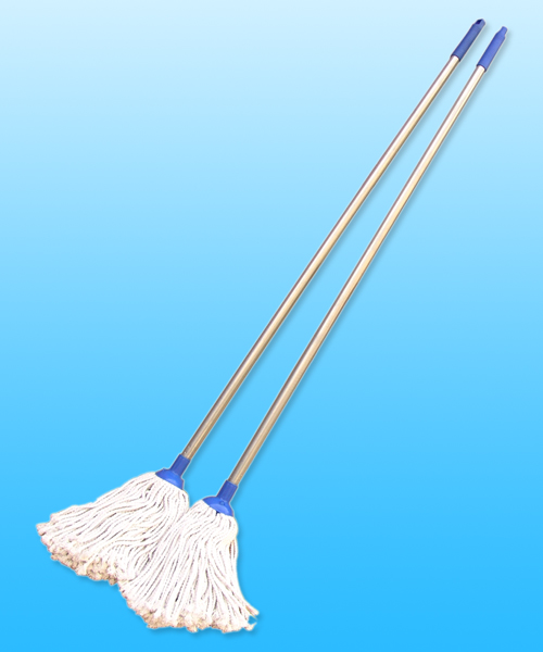 Water mop