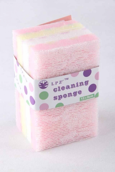 Cleaning Sponge