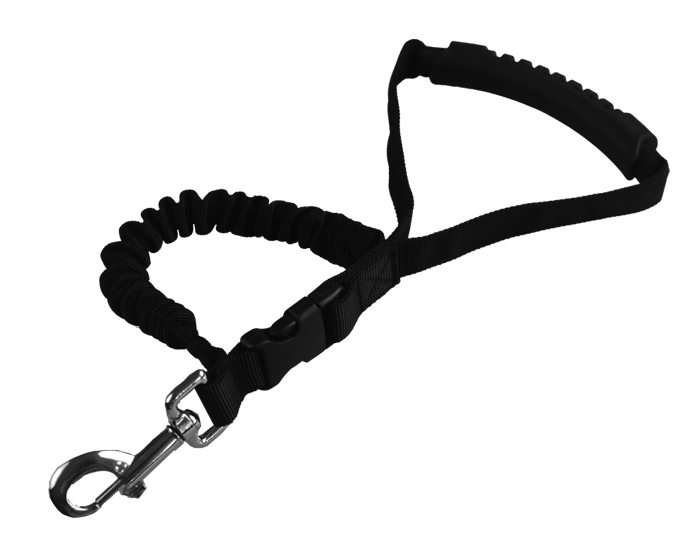 Pet leash