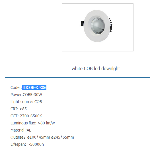 LED DownLighters